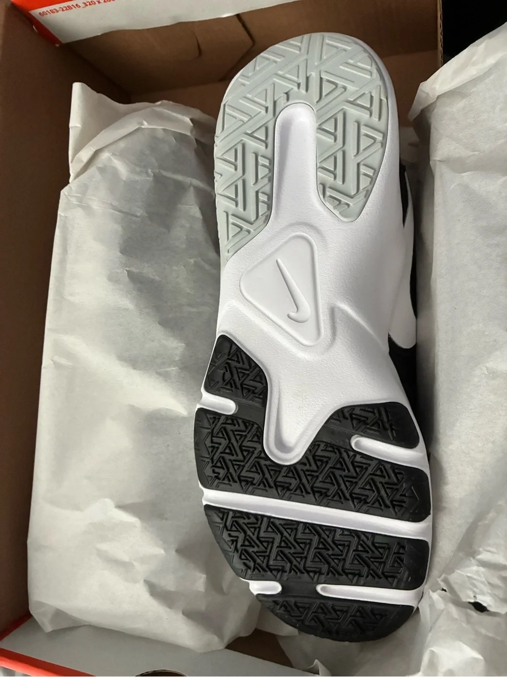 Nike Black and White Low-Top Training Shoe